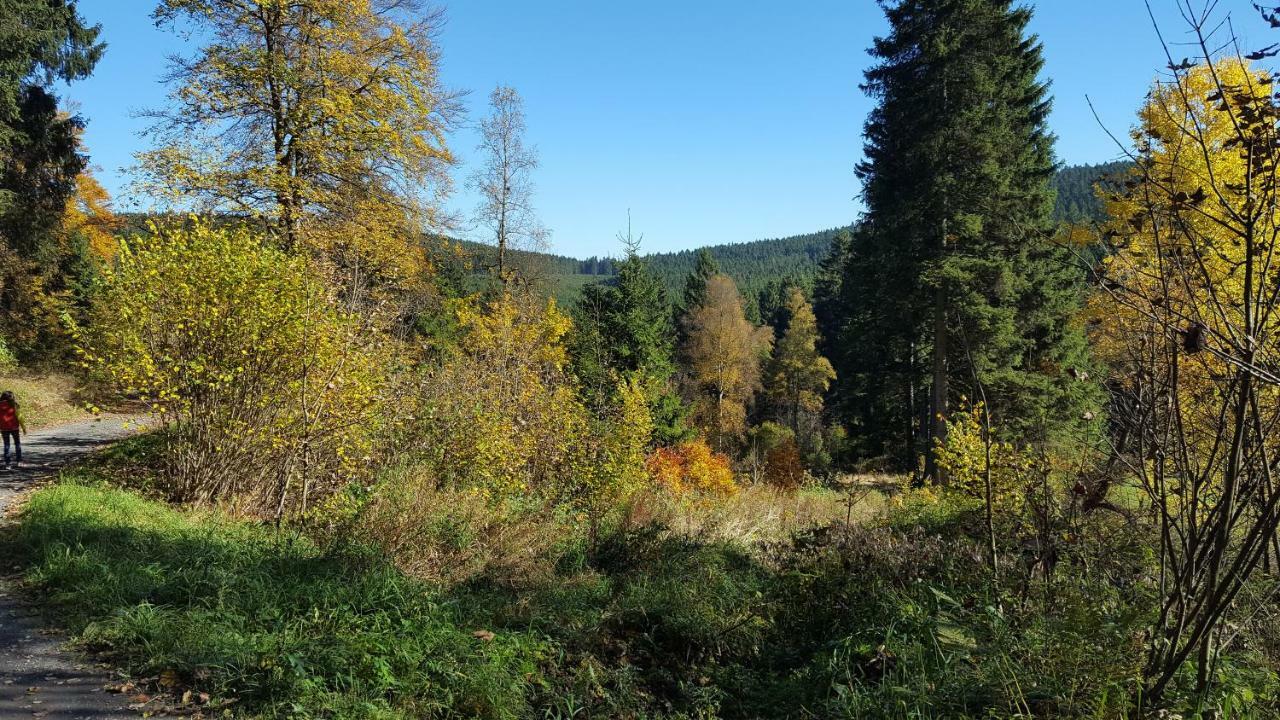Ferienhaus Bergidylle Винтерберг Екстериор снимка